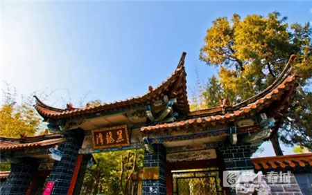 鲜花之城塔城桥城等 昆明居然有这么多实至名归的美名