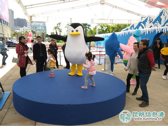 “南极精灵”造访引市民围观 “南极精灵”造访引市民围观