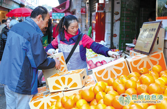 褚橙,价格,供应量