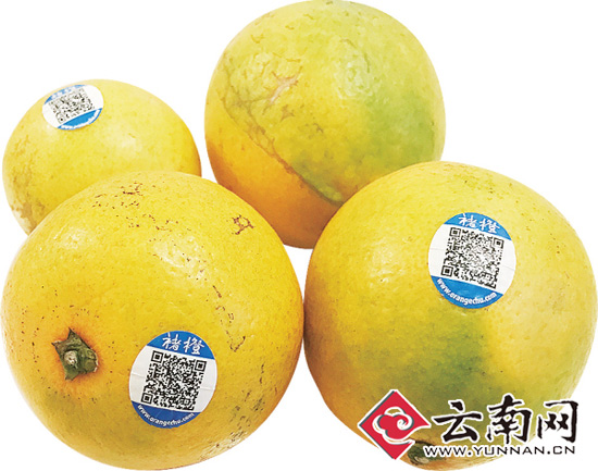 褚橙难求真假难辨 官方:直营店每天到货不超过50件 褚橙难求真假难辨 官方:直营店每天到货不超过50件