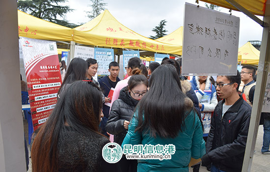 2017届民办高校毕业生双向择洽会在云大滇池学院举行
