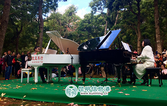 上千游客黑龙潭聆听森林音乐会 释放心灵拥抱大自然 上千游客黑龙潭聆听森林音乐会 释放心灵拥抱大自然