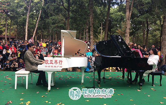 上千游客黑龙潭聆听森林音乐会 释放心灵拥抱大自然 上千游客黑龙潭聆听森林音乐会 释放心灵拥抱大自然