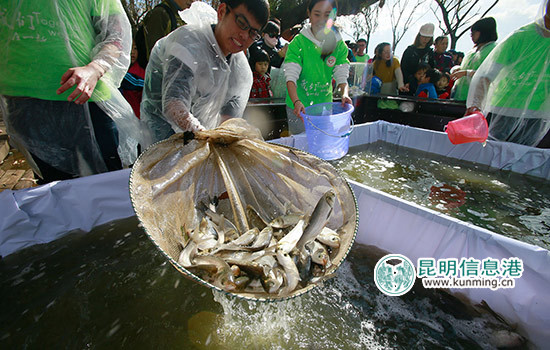 36个“市民河长”团现场受聘 10万吨鱼苗放入滇池