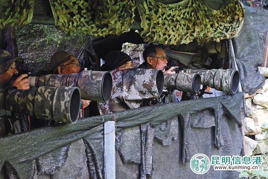 首届高黎贡山国际观鸟节保山开幕 200余摄影爱好者前往拍摄 首届高黎贡山国际观鸟节保山开幕 200余摄影爱好者前往拍摄