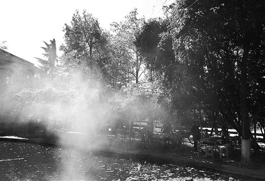 庾园变成烧烤园