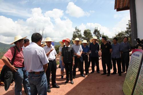 楚雄,脱贫,潜力