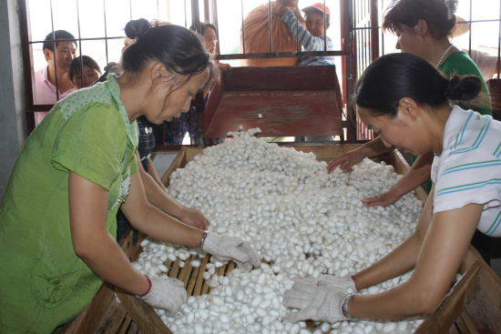 楚雄,脱贫,潜力