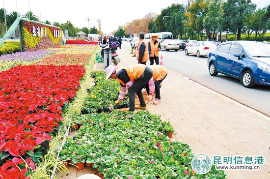 2016上合昆马17日鸣枪起跑 42公里最美赛道奔来眼底