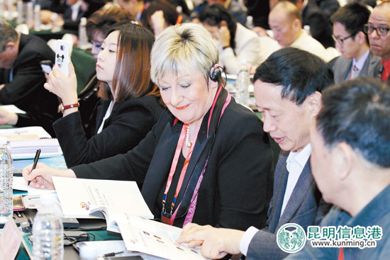 专家学者献计大健康产业 “个性化+规模化”开拓昆明模式