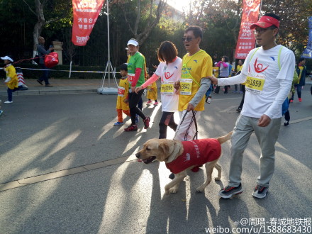 普通人的上合昆马 快乐奔跑幸福追梦 普通人的上合昆马 快乐奔跑幸福追梦