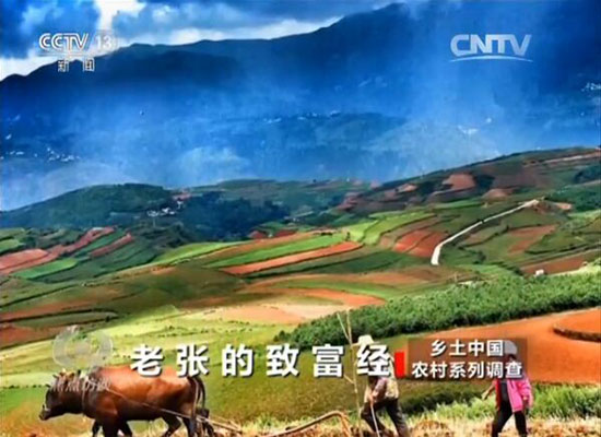 《焦点访谈》专题报道昆明“互联网+扶贫”新模式 《焦点访谈》专题报道昆明“互联网+扶贫”新模式