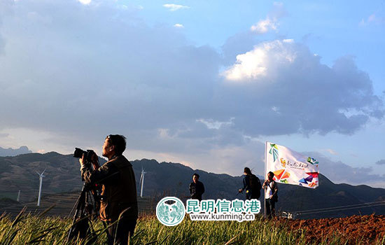 《焦点访谈》专题报道昆明“互联网+扶贫”新模式 《焦点访谈》专题报道昆明“互联网+扶贫”新模式