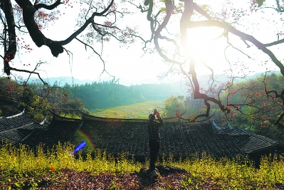 冬季虽冷 德化精品旅游线路引客来