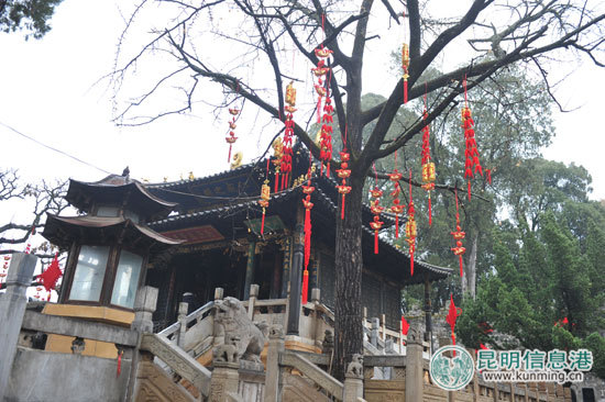 金殿,花展,亮点 金殿,花展,亮点