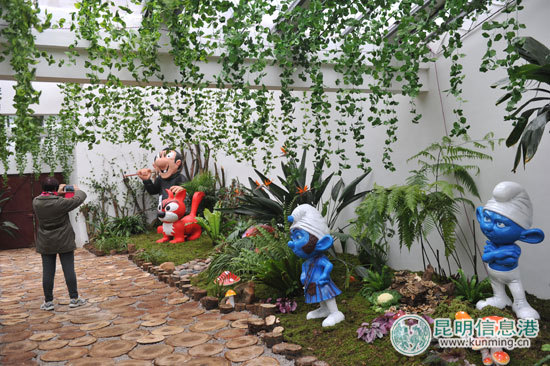 金殿,花展,亮点 金殿,花展,亮点