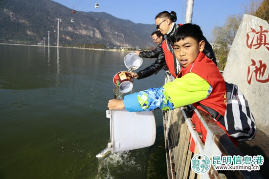 “昆明之美”元旦举行放鱼节 510公斤白鲢鱼苗入滇池