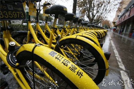 有桩or无桩？让人操碎了心的昆明共享自行车