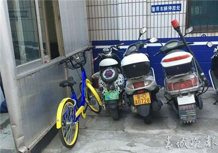 有桩or无桩？让人操碎了心的昆明共享自行车