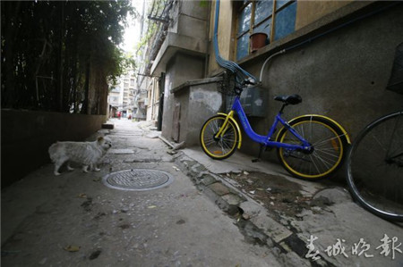 有桩or无桩？让人操碎了心的昆明共享自行车