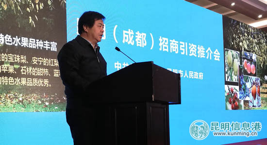 昆明(成都)招商引资推介会签下202亿大单 昆明(成都)招商引资推介会签下202亿大单