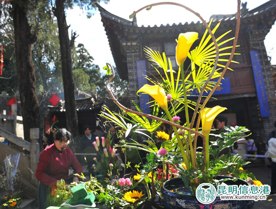 杭州“插花”牵手春城“茶花” 搭建两地花事桥梁 杭州“插花”牵手春城“茶花” 搭建两地花事桥梁