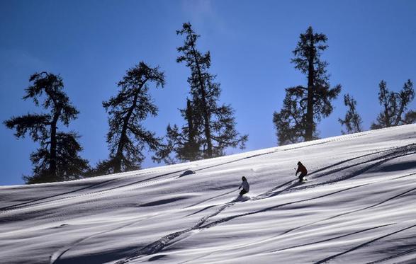 新疆阿尔泰山野雪公园开滑　大批雪友慕“野雪”而来