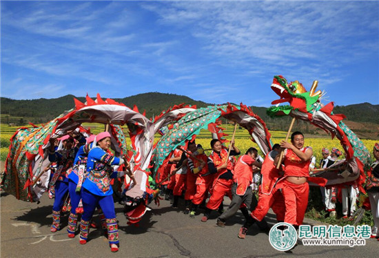 峨山县开新街暨油菜花文化旅游节