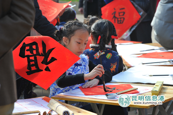 黑龙潭,梅花,盆景 黑龙潭,梅花,盆景