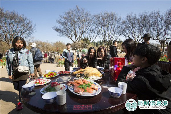 大观公园,郁金香,春节 大观公园,郁金香,春节