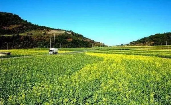 春节到处都下雨 云南人依旧能从除夕嗨到元宵节 春节到处都下雨 云南人依旧能从除夕嗨到元宵节