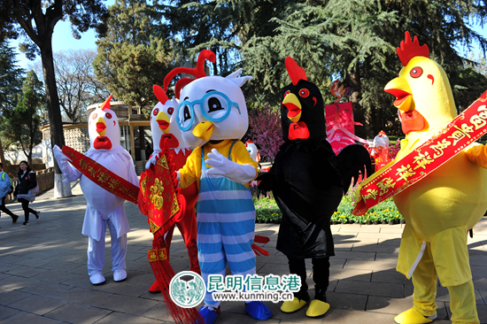 动物园,春节,活动 动物园,春节,活动