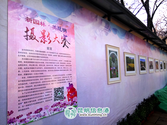 动物园,春节,活动 动物园,春节,活动