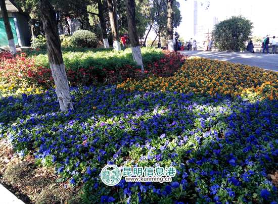 动物园,春节,活动 动物园,春节,活动