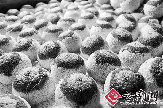 云南“最乡愁”舌尖年货大集锦 看看你家乡有啥 云南“最乡愁”舌尖年货大集锦 看看你家乡有啥