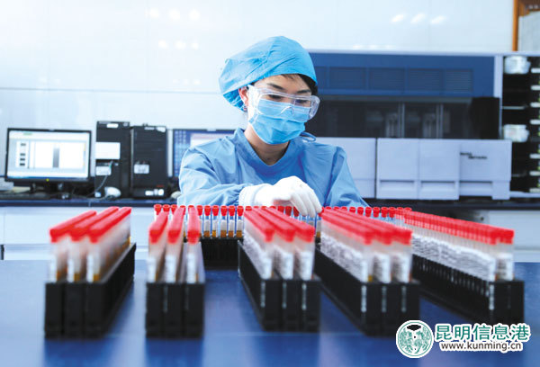 昆明采血量逐年增长 2016年12.2万人次无偿献血35吨