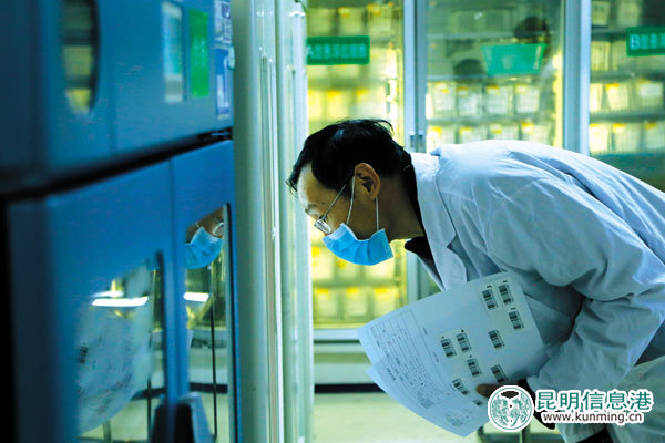 昆明采血量逐年增长 2016年12.2万人次无偿献血35吨