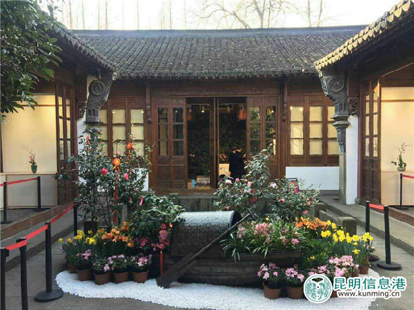 金殿,茶花,西湖 金殿,茶花,西湖