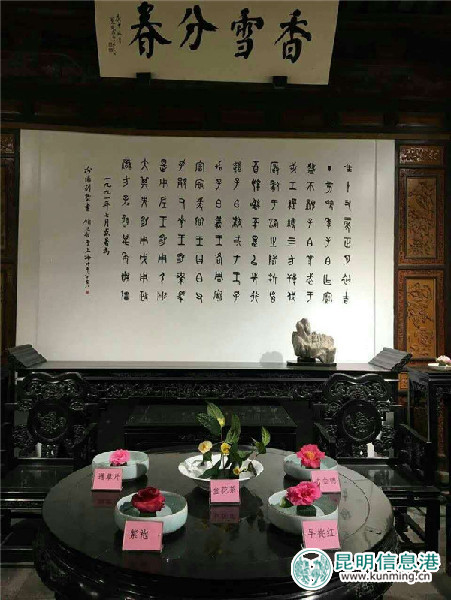 金殿,茶花,西湖 金殿,茶花,西湖