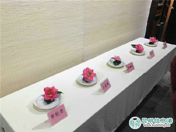 金殿,茶花,西湖 金殿,茶花,西湖