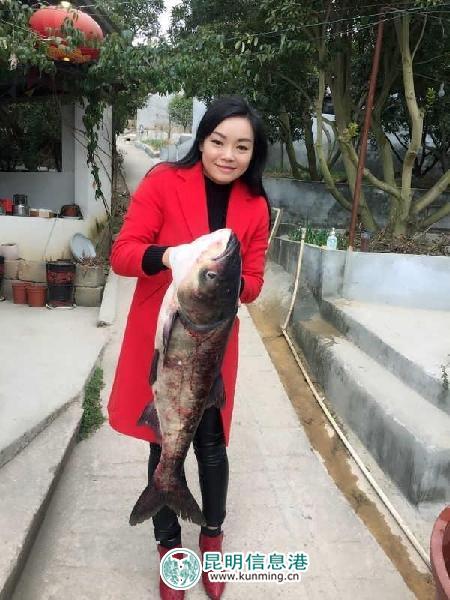 春节,黄金周,昆明 春节,黄金周,昆明