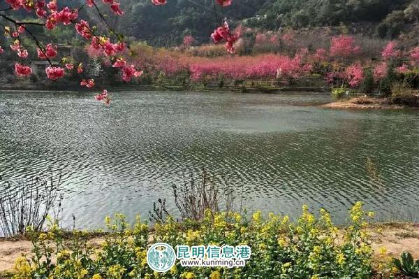 春节,黄金周,昆明 春节,黄金周,昆明