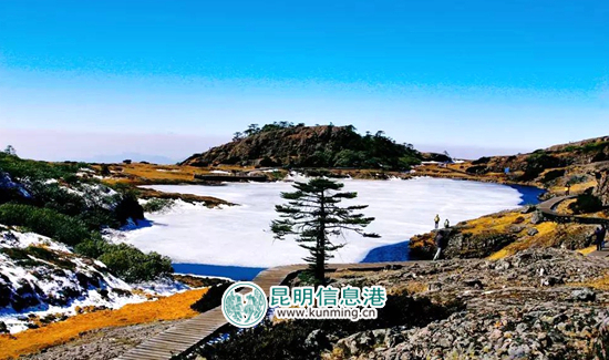 春节,黄金周,昆明 春节,黄金周,昆明