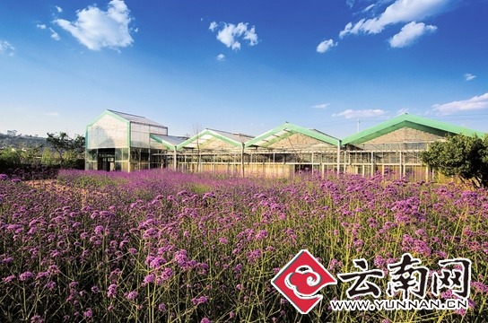 昆明周边农家乐春节不打烊 旅游餐饮娱乐一应俱全 昆明周边农家乐春节不打烊 旅游餐饮娱乐一应俱全