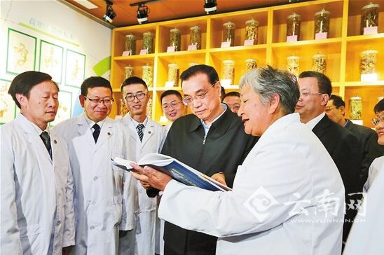 总理情牵彩云南