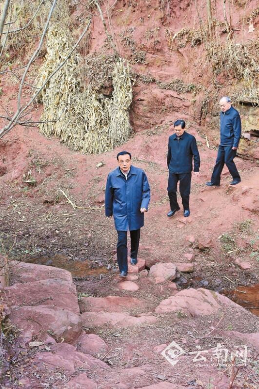 总理情牵彩云南