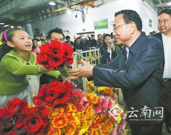 总理情牵彩云南