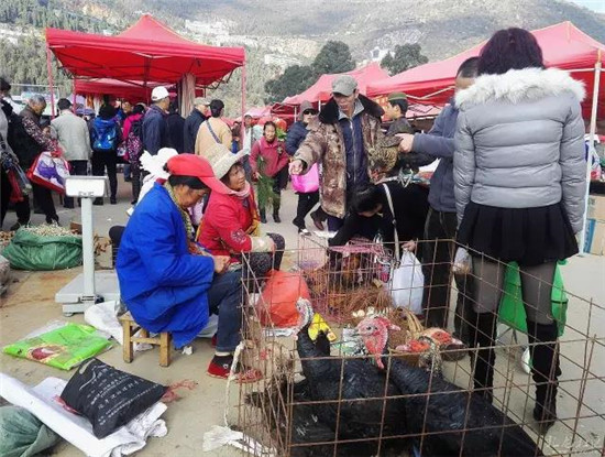 明海源寺年前最后一个“街子” 年味满满 明海源寺年前最后一个“街子” 年味满满