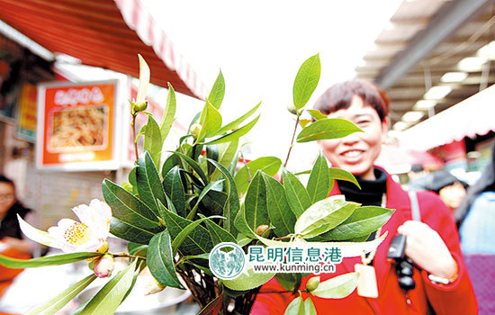 团团圆圆过大年 “常回家看看”为新年鼓足干劲 团团圆圆过大年 “常回家看看”为新年鼓足干劲