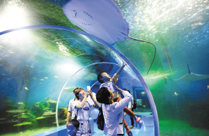 这个年假怎么玩 昆明各县区坚守传统推出“特色菜” 这个年假怎么玩 昆明各县区坚守传统推出“特色菜”